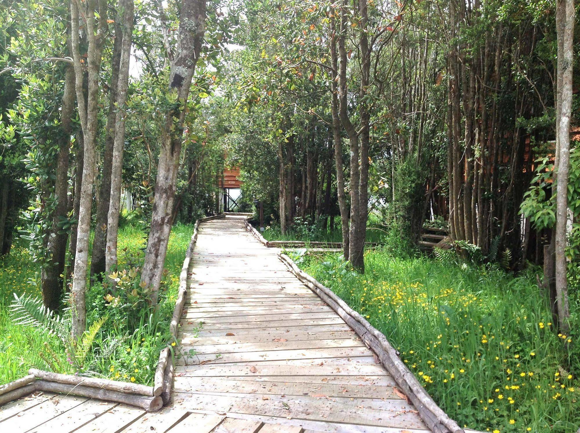 Cabanas Gracias A La Vida Lodge Пуерто Варас Екстериор снимка